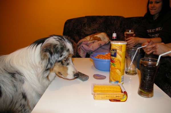 si půjčím ten ovladač jo?