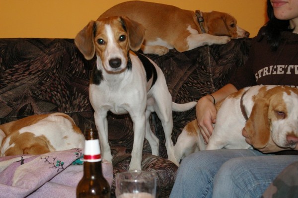 taky bych si trošku koštnul :-)))