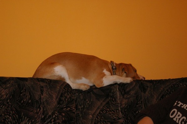 kliknutím zavřete okno