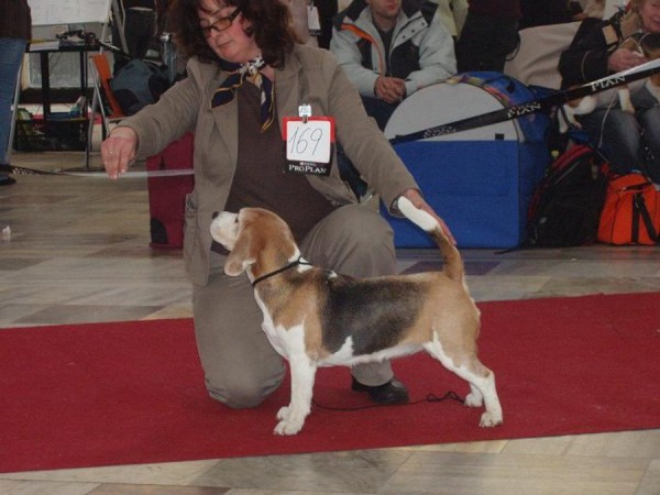 kliknutím zavřete okno