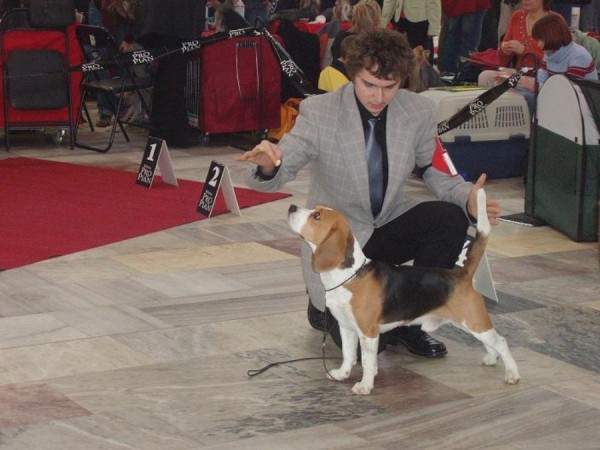 kliknutím zavřete okno