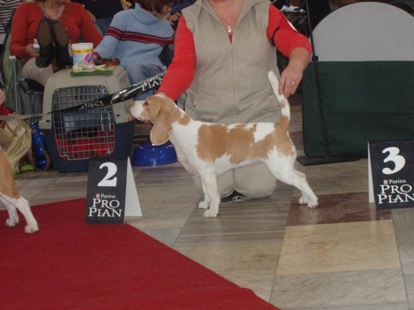 kliknutím zavřete okno