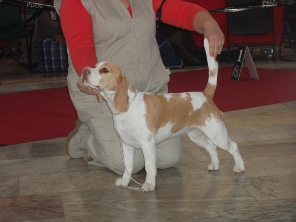 kliknutím zavřete okno