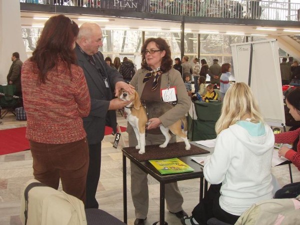 kliknutím zavřete okno