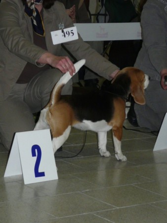 kliknutím zavřete okno