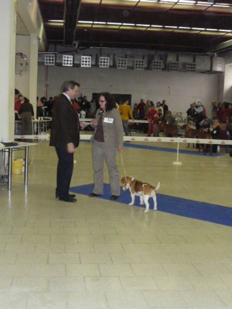 kliknutím zavřete okno