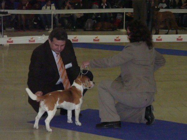 kliknutím zavřete okno