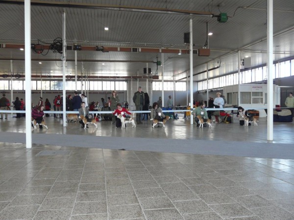 Příprava na finále