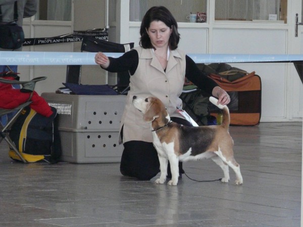 kliknutím zavřete okno