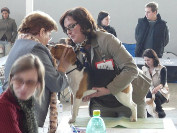 kliknutím zavřete okno