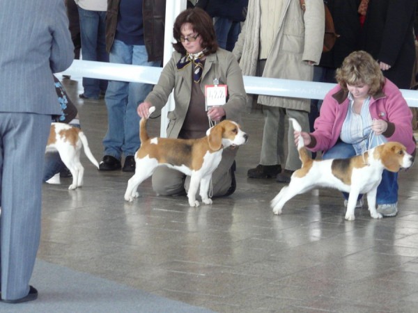 kliknutím zavřete okno