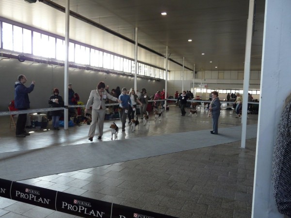 kliknutím zavřete okno