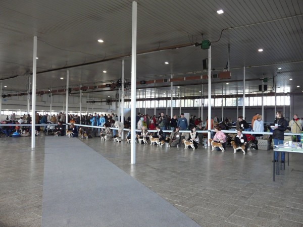 Feny třída mladých