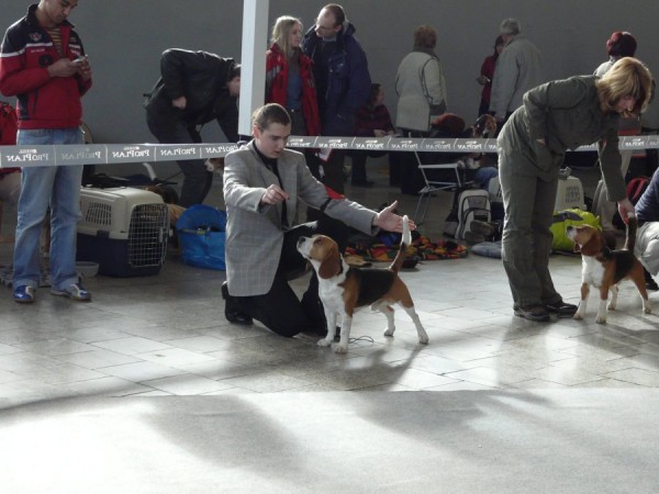 kliknutím zavřete okno