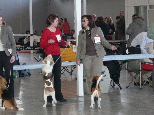 Čekání na Bobíka