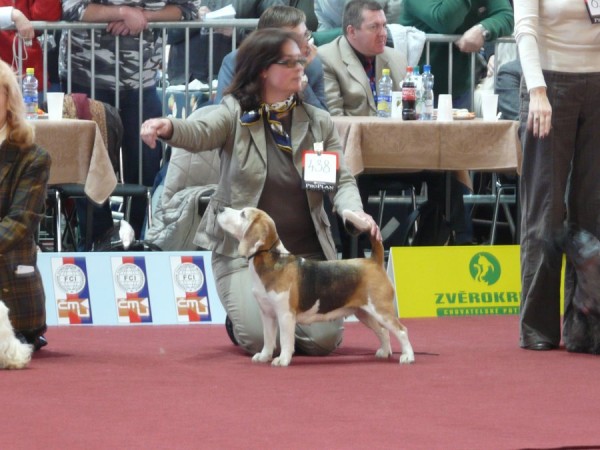 kliknutím zavřete okno