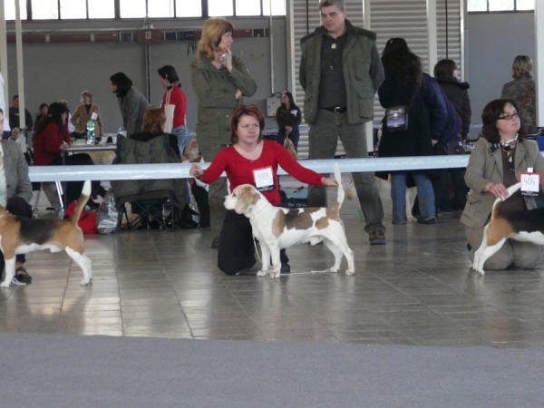 kliknutím zavřete okno