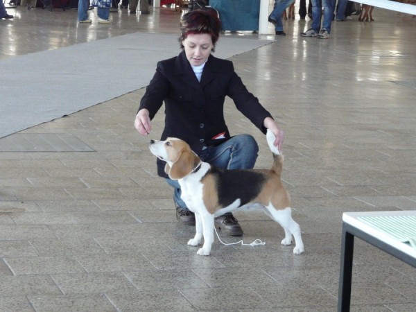 kliknutím zavřete okno