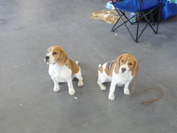 kliknutím zavřete okno