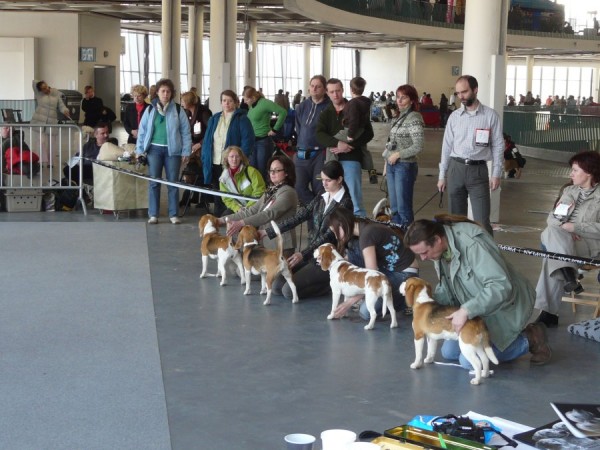 finale - feny třida otevřená