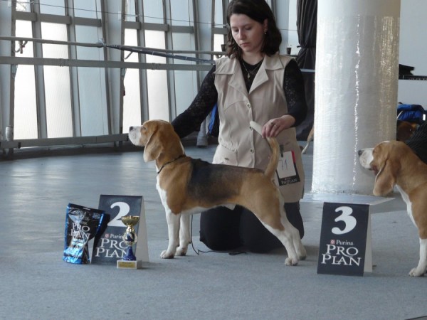 kliknutím zavřete okno