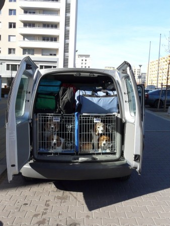 kliknutím zavřete okno