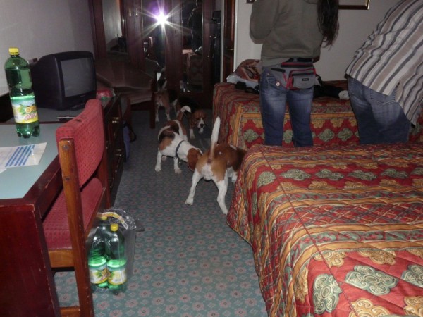 Ubytování po anglicku