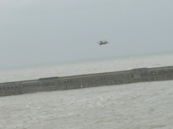 kliknutím zavřete okno