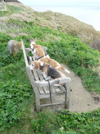 kliknutím zavřete okno