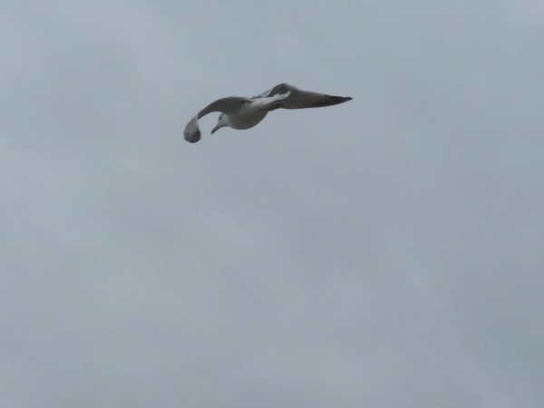 kliknutím zavřete okno