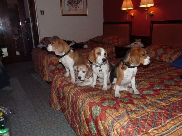 kliknutím zavřete okno