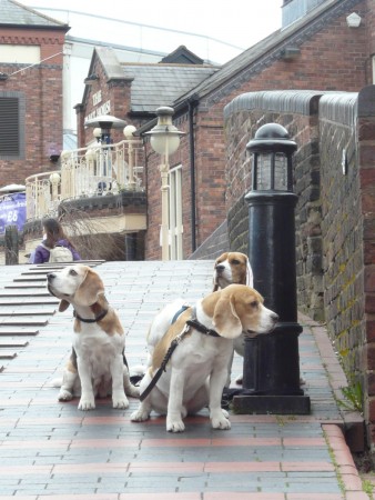 kliknutím zavřete okno