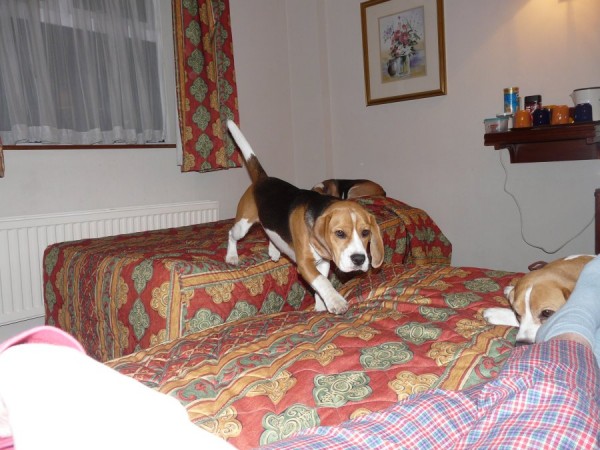 kliknutím zavřete okno