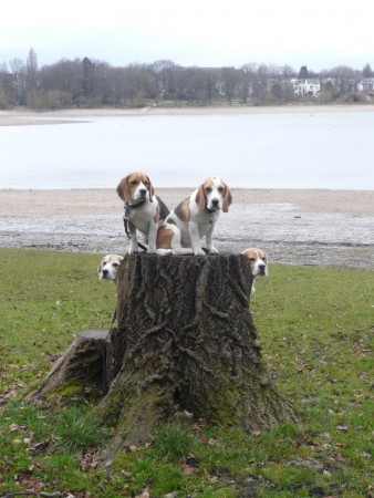 kliknutím zavřete okno