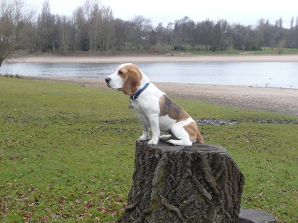 kliknutím zavřete okno