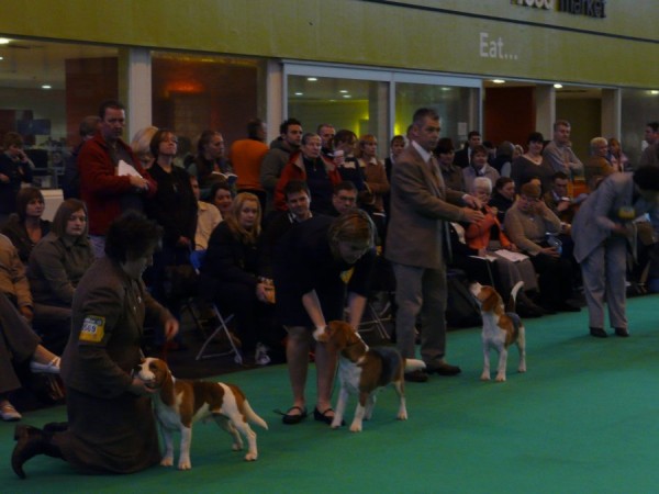 kliknutím zavřete okno