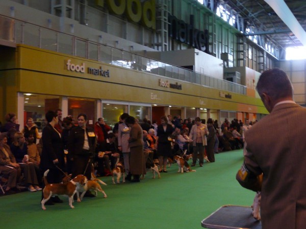 kliknutím zavřete okno