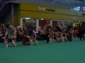 Výběr pro Cahllenge Certificate Dog