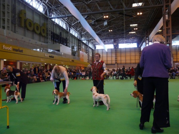 kliknutím zavřete okno