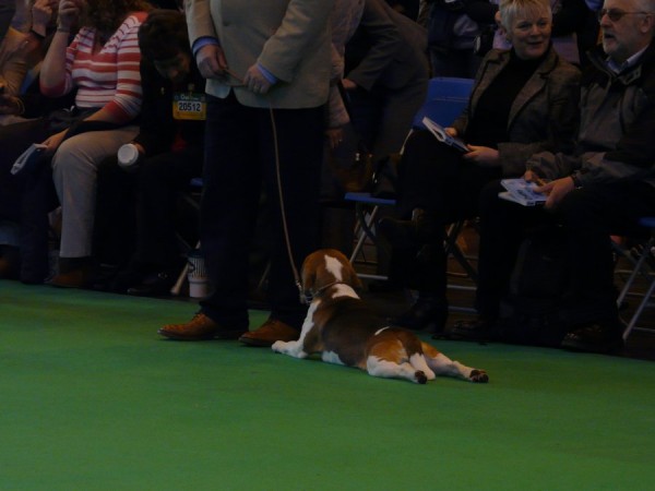 kliknutím zavřete okno