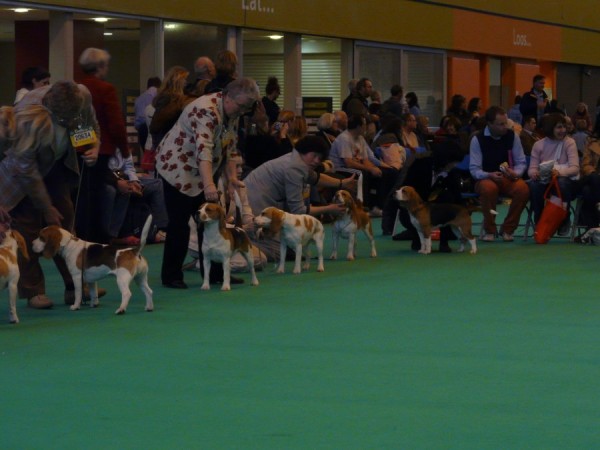 kliknutím zavřete okno