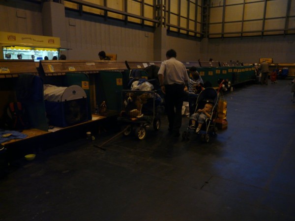 kliknutím zavřete okno