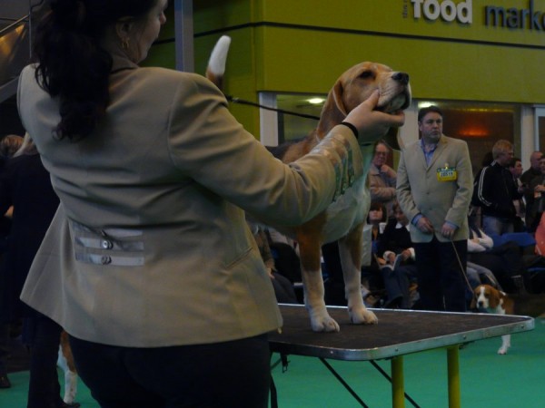 Sentimental Snowdancers Melbourne