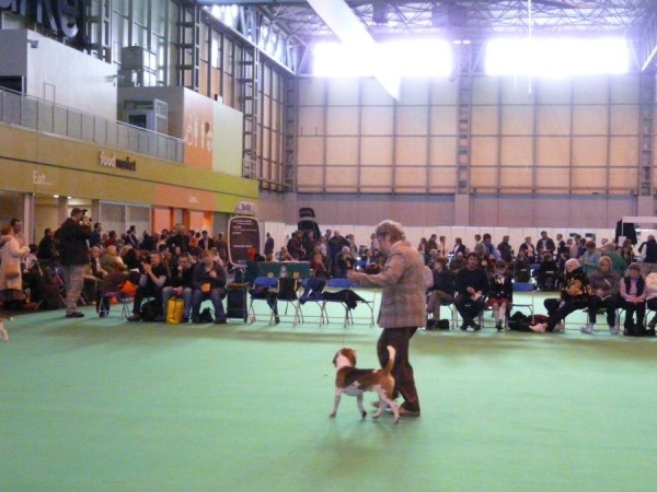 kliknutím zavřete okno