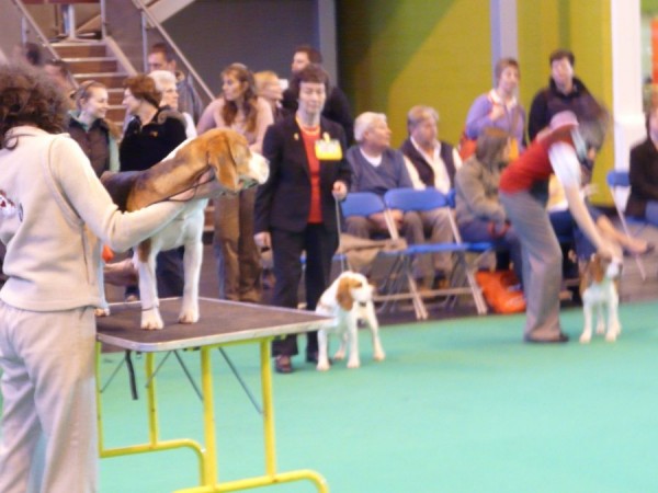 kliknutím zavřete okno