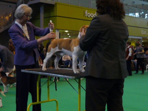 Prohlídka byla důkladná a ještě důkladnější