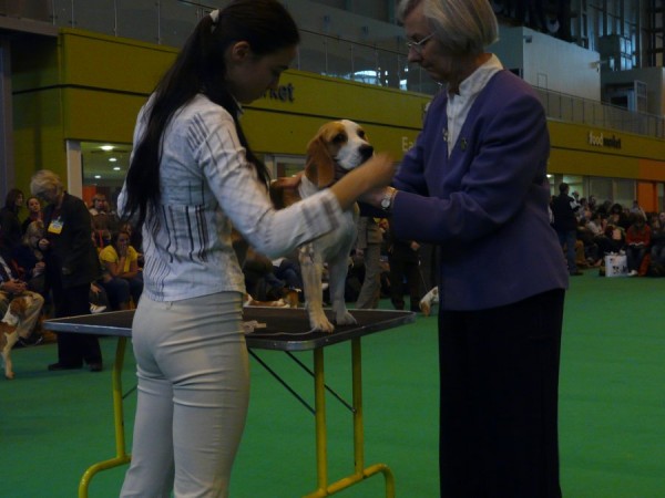 Princule - prohlídka