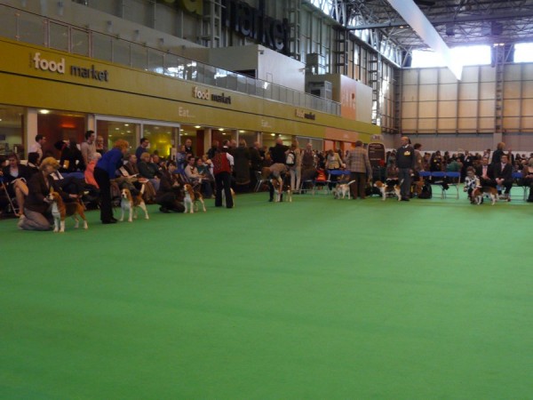 kliknutím zavřete okno