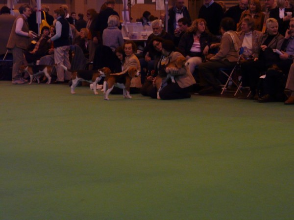 Nekonečné čekání