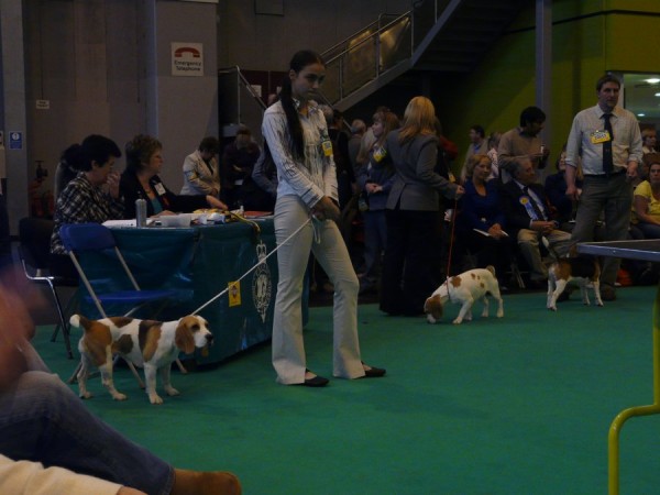 kliknutím zavřete okno